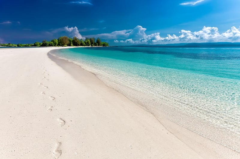 Beach Camping 2