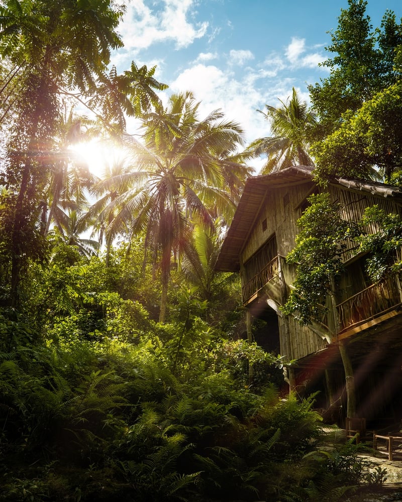 Treetop Villa